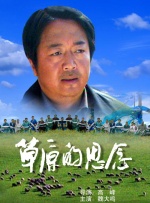 久久久久九九视频